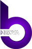 Bartu Medya